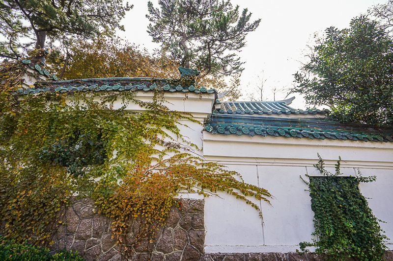 山東青島濱海風光實拍